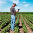Aumenta a procura por profissionais com o ensino superior no setor agrícola